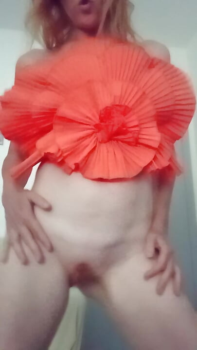 Orange Flower