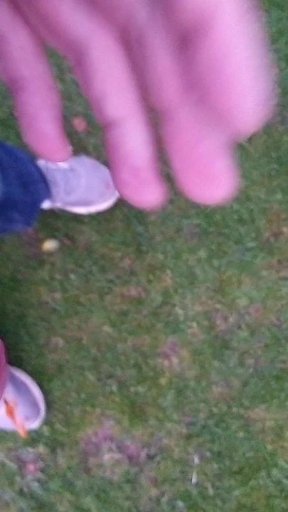 Dick out in the park