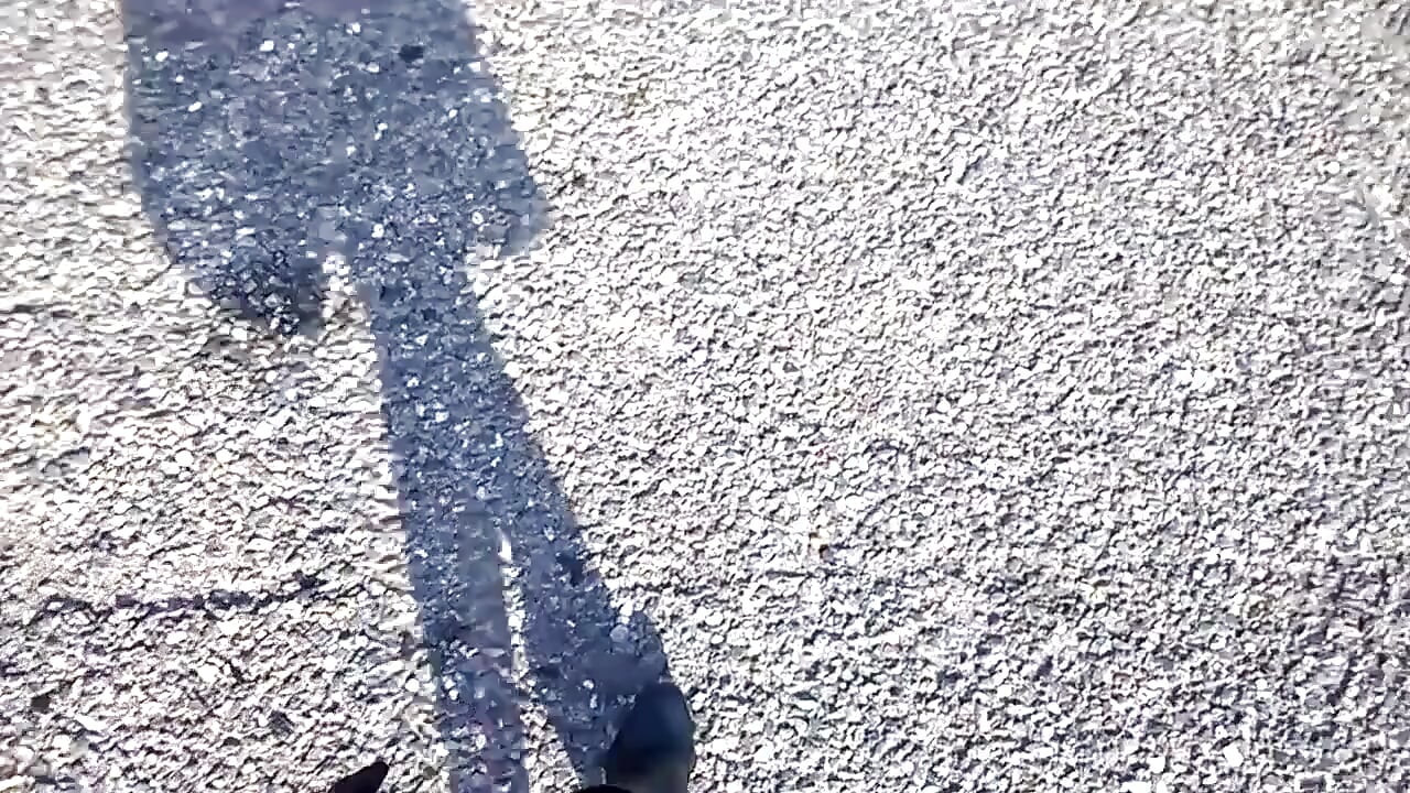 Fast & Furious với diva