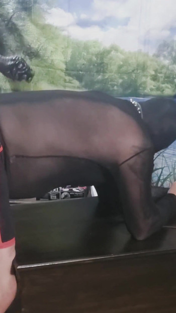 Unforgettable moment from "SHE FOUND A PINCK COCK TO FUCK HIA ASS WITH"