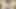 Benden mükemmel göğüslerini okşamamı istiyor, meme uçları sertleniyor. TEENS18+
