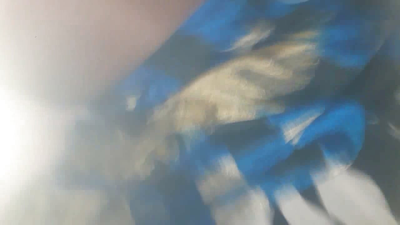 Sinhla new sex video next door stepsister get hardcore fucking pussy solo hair pussycat big clich suck