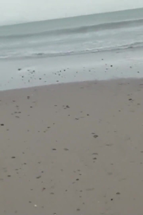 Pervs on Patrol - Jeanie Marie Sulivan Nagi na plaży dlaczego nie pieprzyć