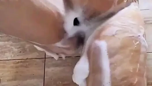 Istri pantat besar mandi