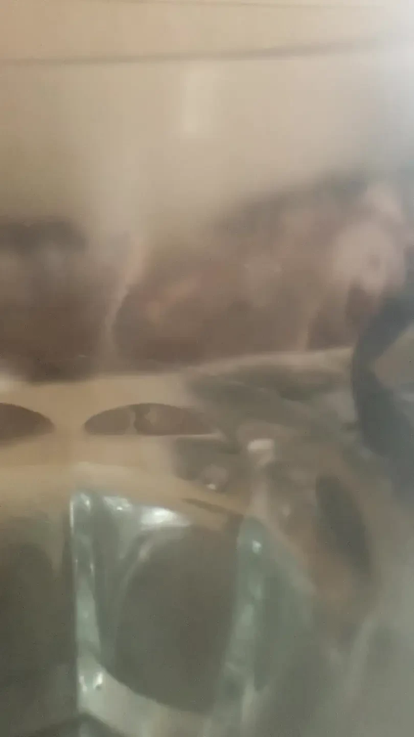 I know you want me in these black socks