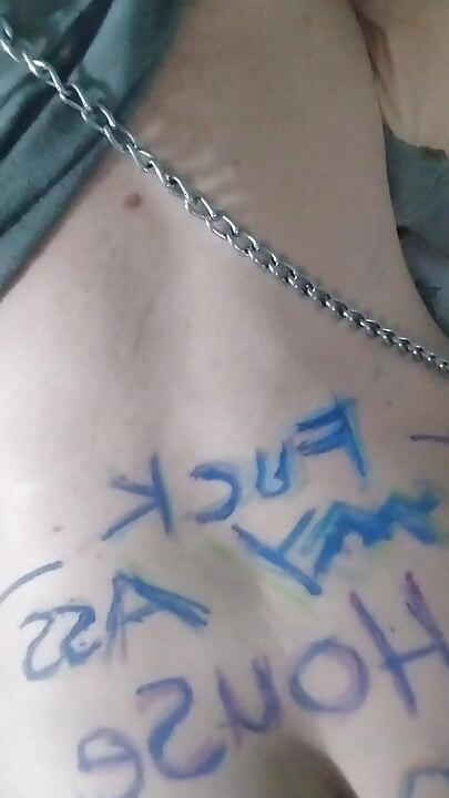 Kučka će naučiti