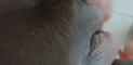 Video ön izlemesi