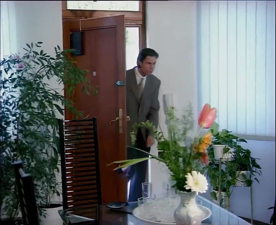 Les Magnifiques 7 - (version érotique)