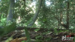 Pratinjau video