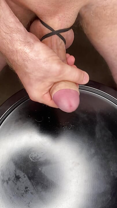 Elver av sæd