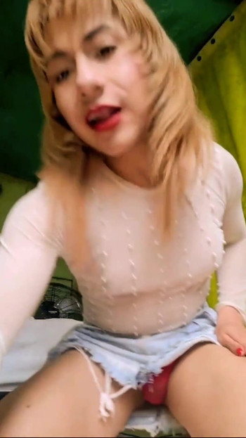 Emisija uživo 11. studenog