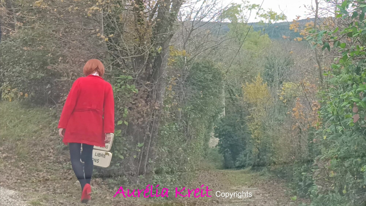 Christmas is approaching, Santa Girl is out to prepare Santa's tour: