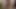 3-WAY: Bearded Hairy Bears' BJs-BB-ATM-BB -MULTIPLE BREEDING