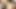 セクシーな赤毛の観光客が暑さの中でコックに乗る