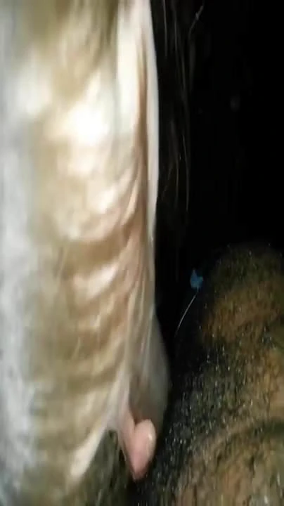 condom blowjob