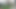 I Recorded My Stepsister Sunbathing Naked and Masturbating in the Garden