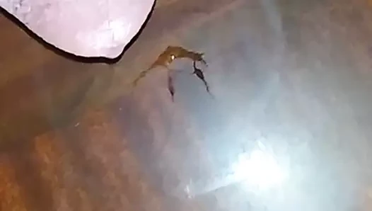 Ağır çekim boşalma