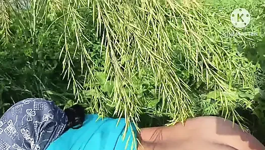 Meine schwägerin im doggystyle in einem senffeld auf der ganga-bank gefickt.