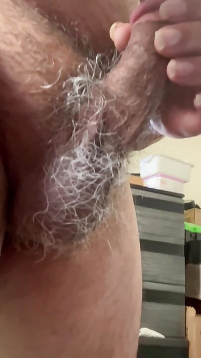 Male Penis and Balls