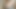 Großer und geäderter Penis, der mit Öl spielt, intensive Masturbation, Sixpack, devote Schlampe