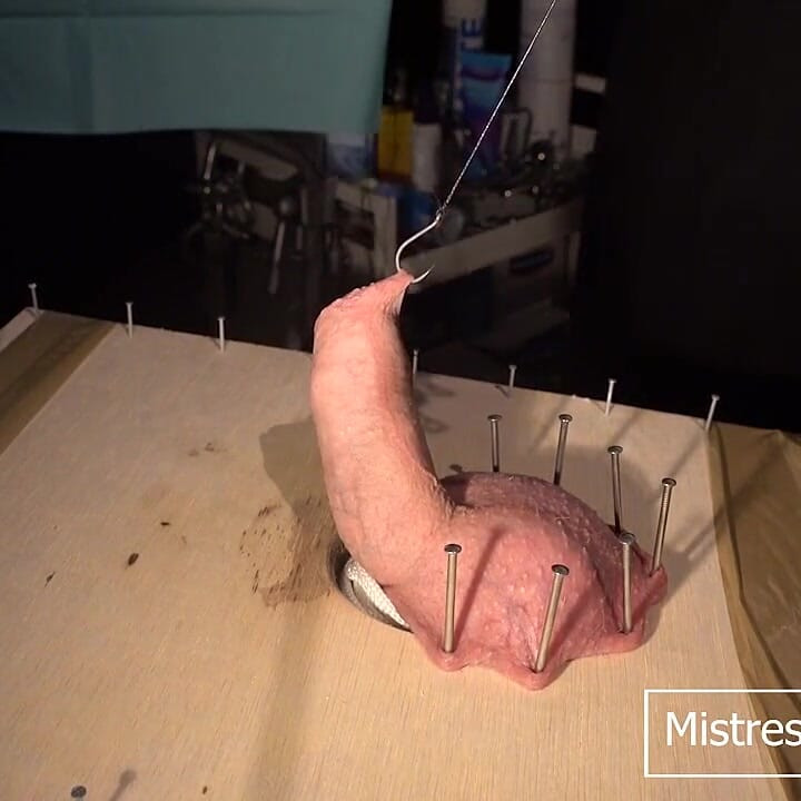 Hardcore CBT med fiskekroge og nåle første del