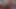 Hazed Hazed lutscht beim Versprechen der Brüderlichkeit