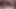 BBC in pink lingerie licks big ass of cute femboy