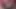 Cherie Deville Dominator