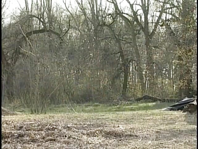 Gypsy couple hardcore outside on a ranch