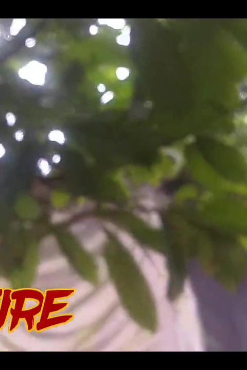 רול נו מורו עם ממתק D4