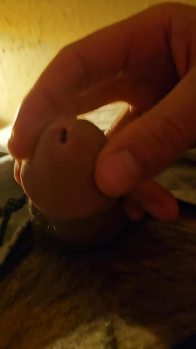 Cock Inspection