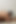 Chubby Gay Sat on His Friend's Cock - Exclusive