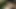 Melissa Pitanga has interracial anal creampie sex