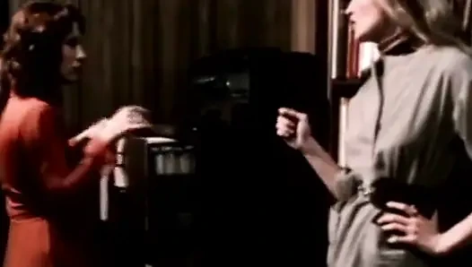 Klasik porno dvd'ler: sıvı dudaklar: bölüm 4