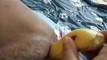 Pratonton Video