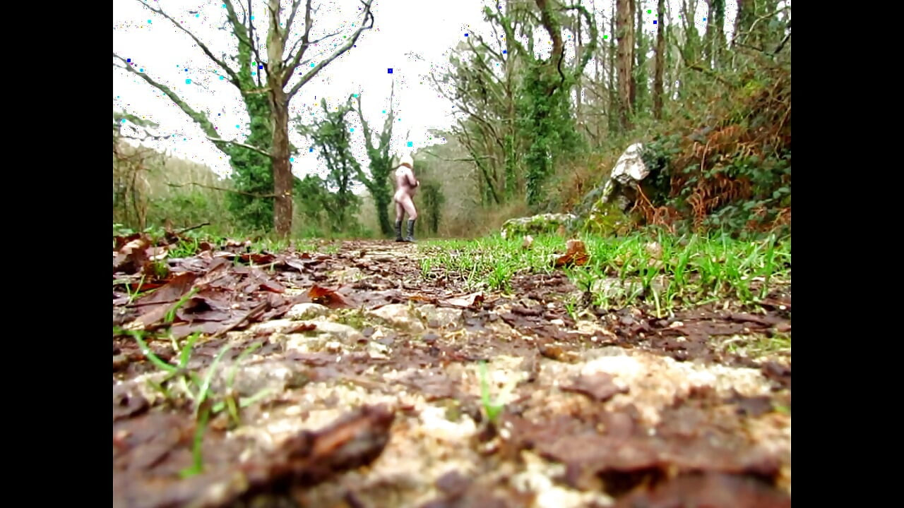 Kiállítás a természetben