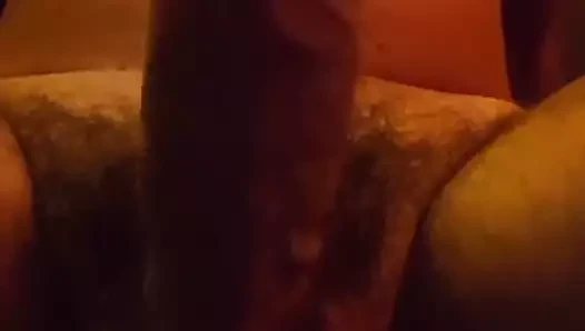 Maurihotfeet cock