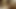 Indian Armpit Licking 67