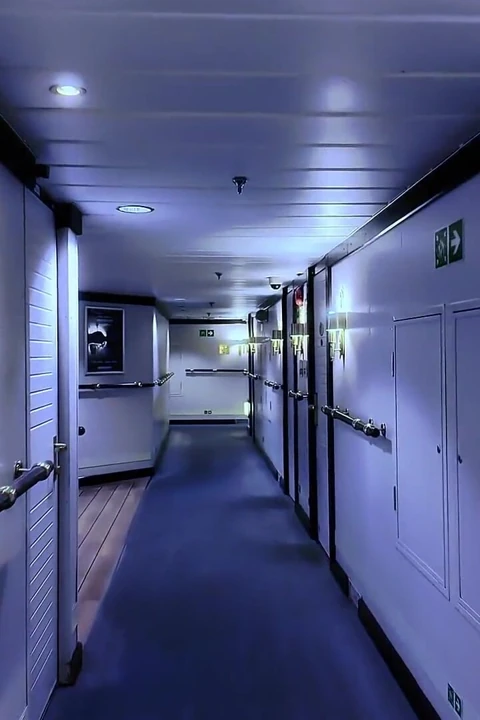 Naughty Ferry Stewardess Secret Affair and Pregnancy Twist