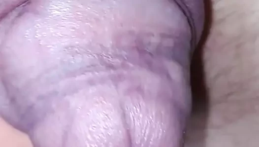 cbt13