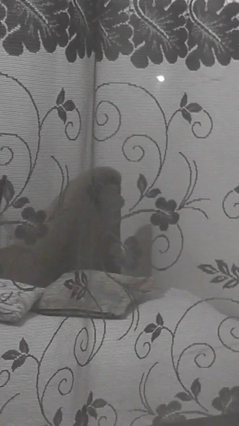 Jaw-dropping moment from "Public. Boy neighbor peeps on masturbating MILF through an opemn window"
