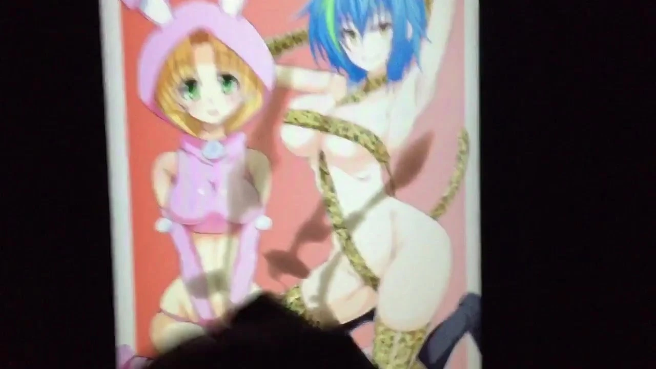 亚洲和xenovia（高中dxd）sop