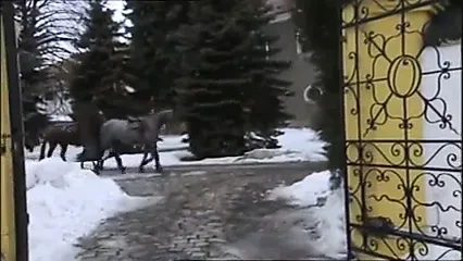 Very Nice Anal # 21