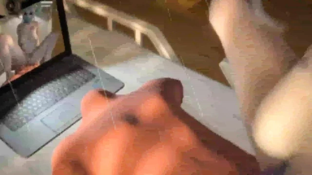 3d romantic sex video