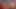 Interracial Blowjobs And Ass Licking