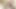 貞操プレイに夢中になってる