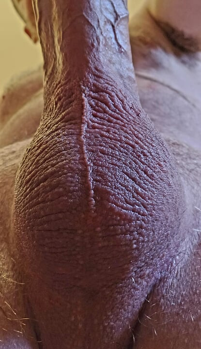 My Freshly Shaved Balls