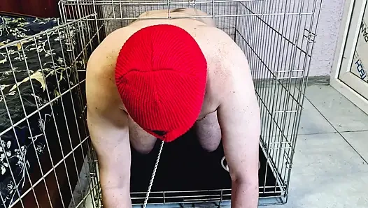 Dominatrix Nika allows the slave to crawl out of the cage so that he kisses, licks her feet, sucks her toes.