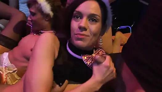 Bunny Eared Babes Devour Cocks in Steamy Group Orgy