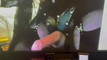 Pregled videozapisa